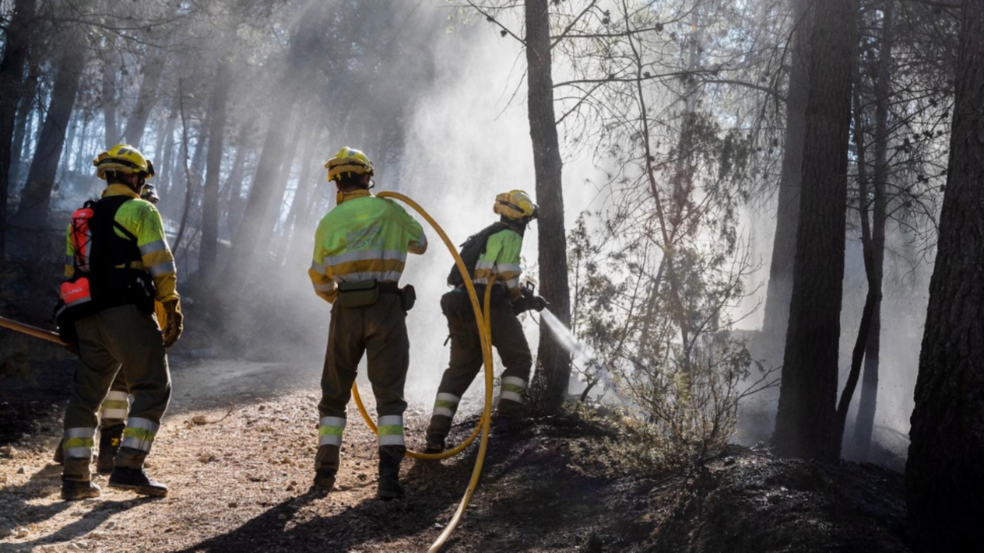 Incendii de vegetatie in Spania (29 martie - Profimedia)