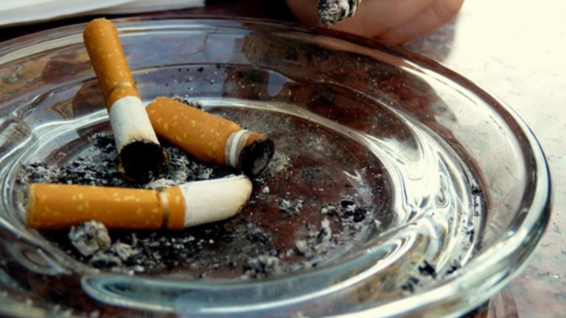 Dacă fumezi, consumă acest aliment de două ori pe săptămână ca să reduci la jumătate riscul de cancer