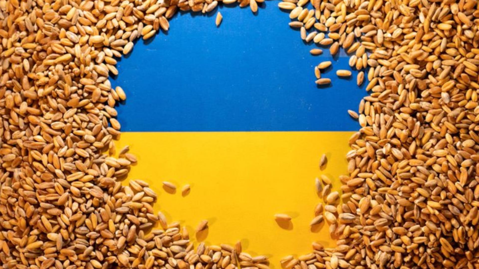 Probleme identificate la cerealele și produsele nonanimale din Ucraina - Anunțul ANSVSA după aproape 10 mii de controale