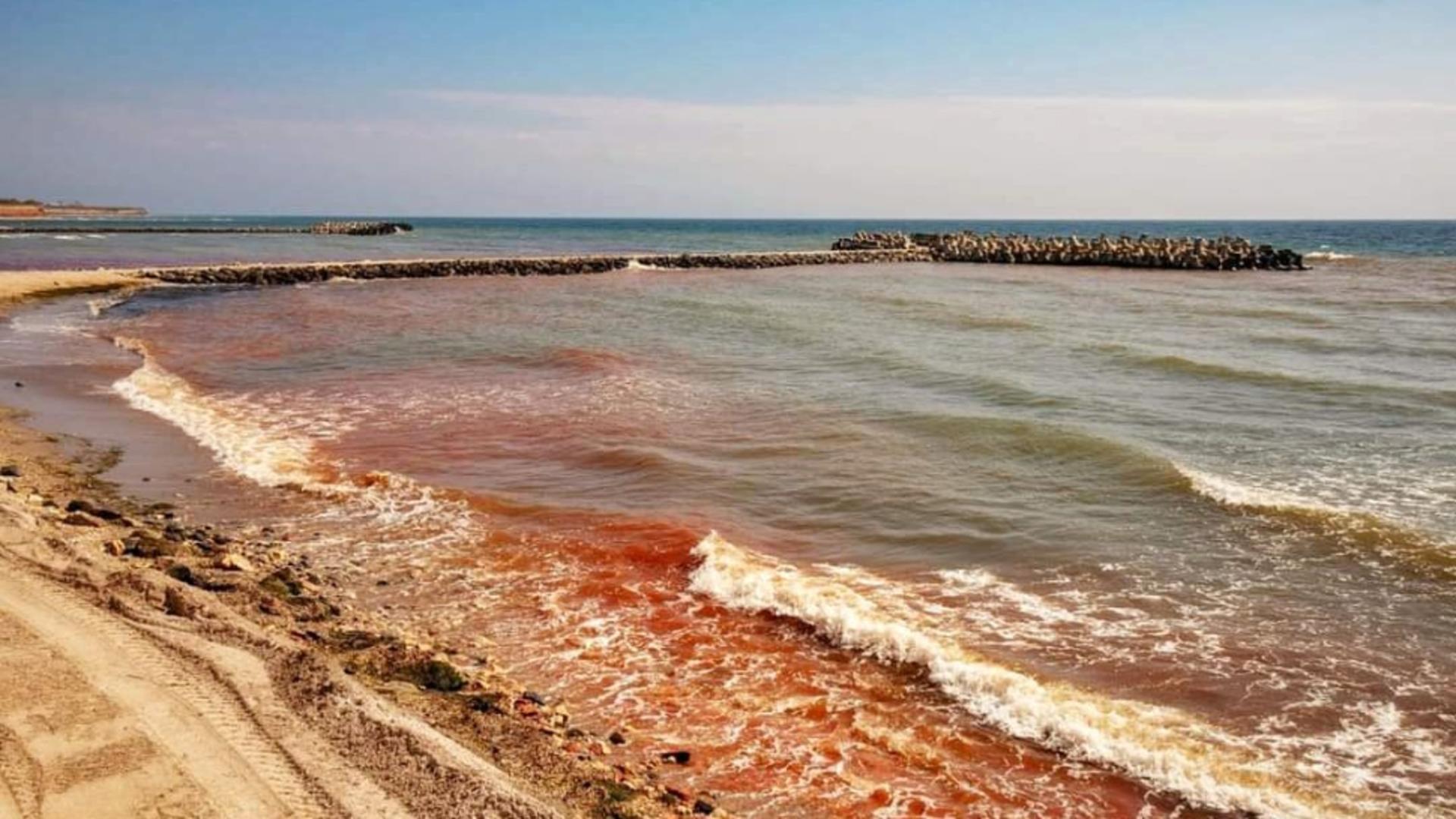 Fenomen rar, în stațiunea Olimp: Marea Neagră a devenit roșie