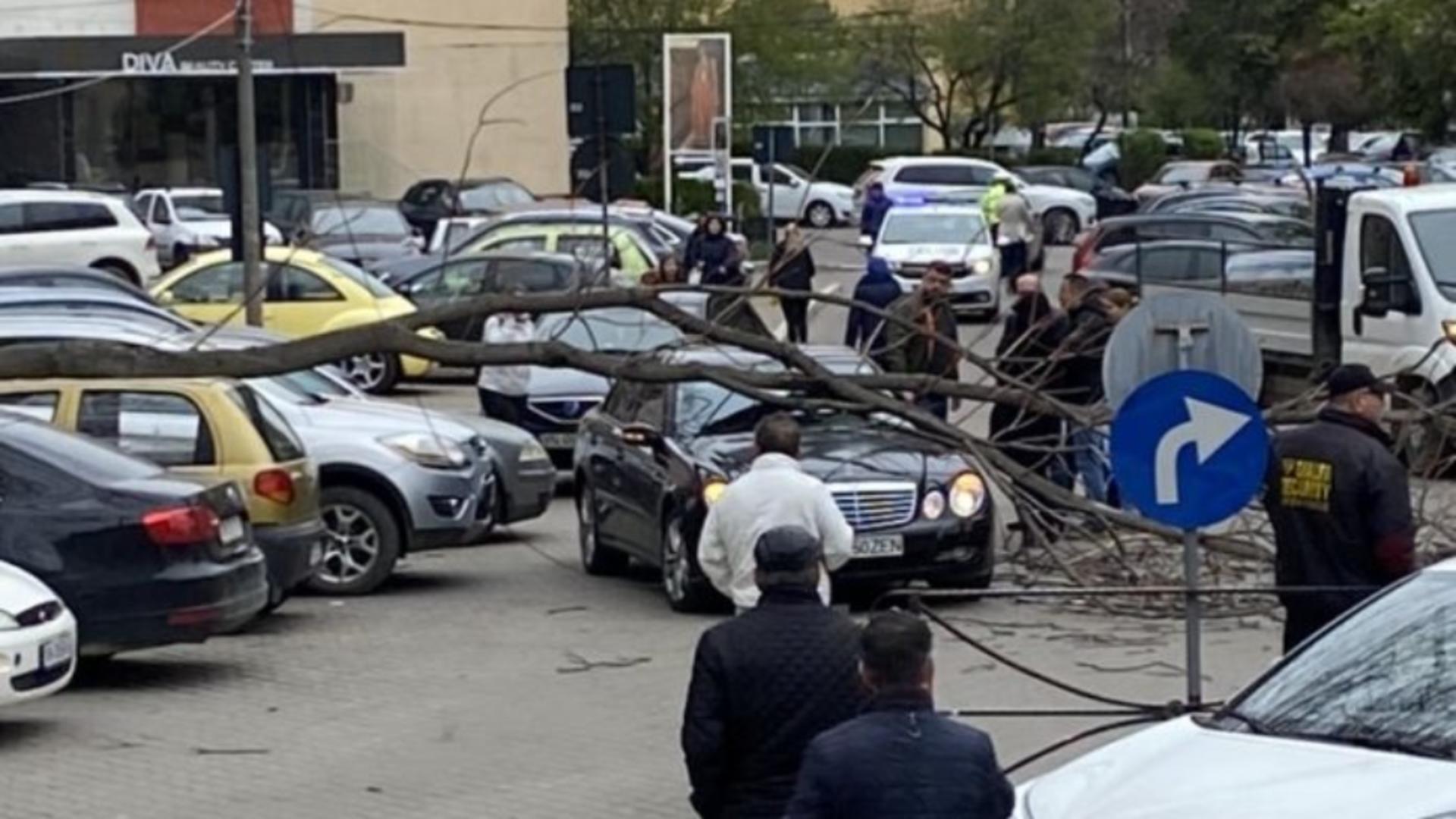 Un copac doborât de vânt a avariat mașinile din fața Primăriei Focșani