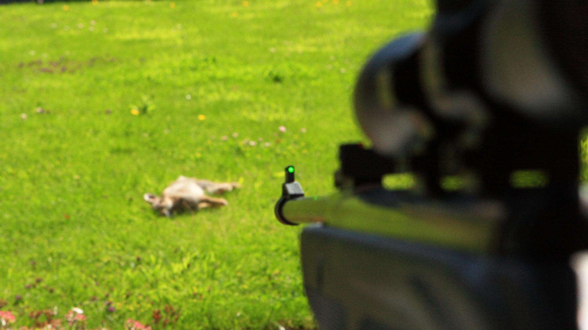 Un om, confundat cu un iepure și împușcat mortal. Foto/Profimedia