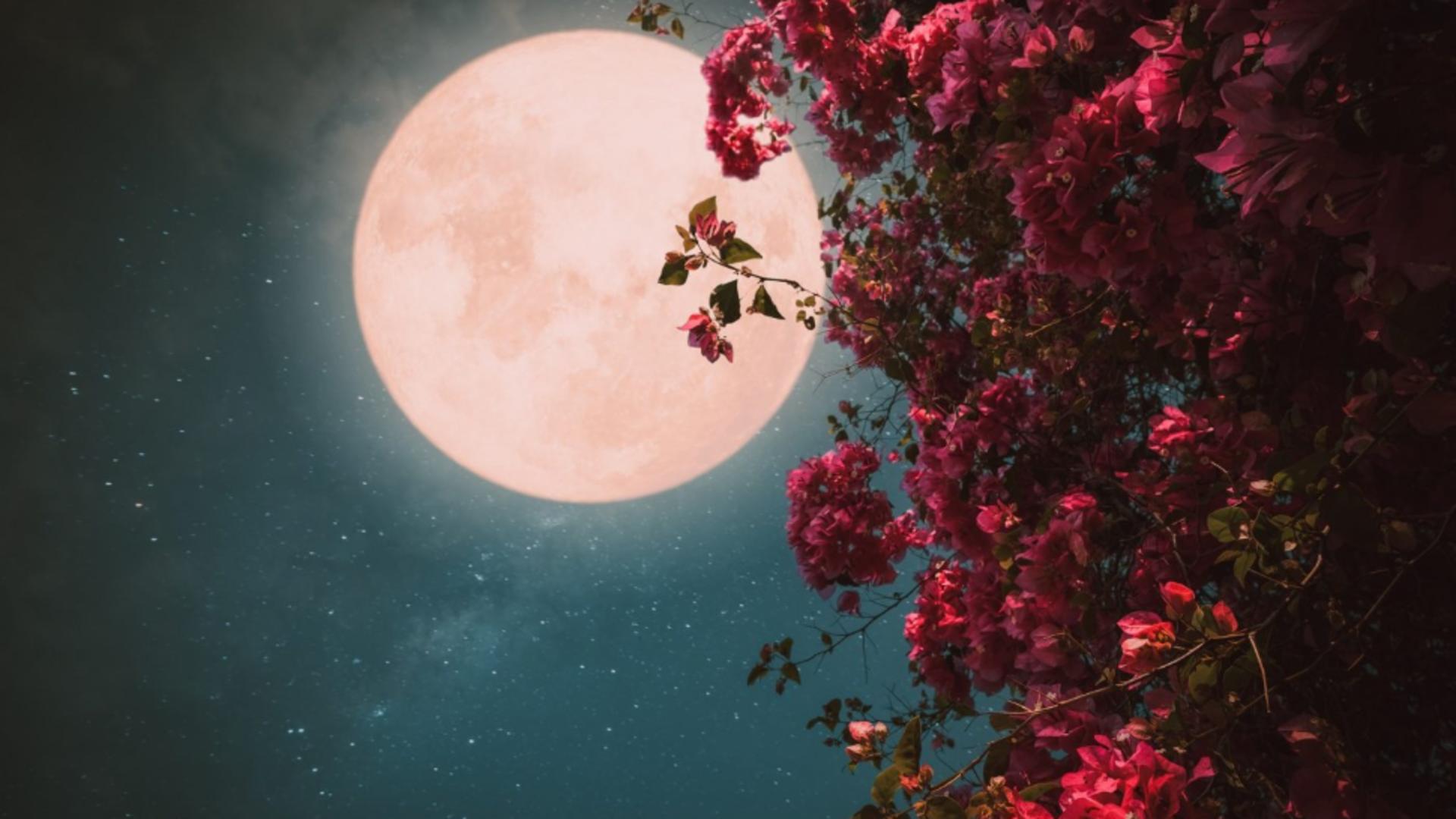 Prima Lună plină a primăverii astronomice, în 6 aprilie 2023. Ce faci de Luna ROZ - Legătura cu Paștele de care nu știai