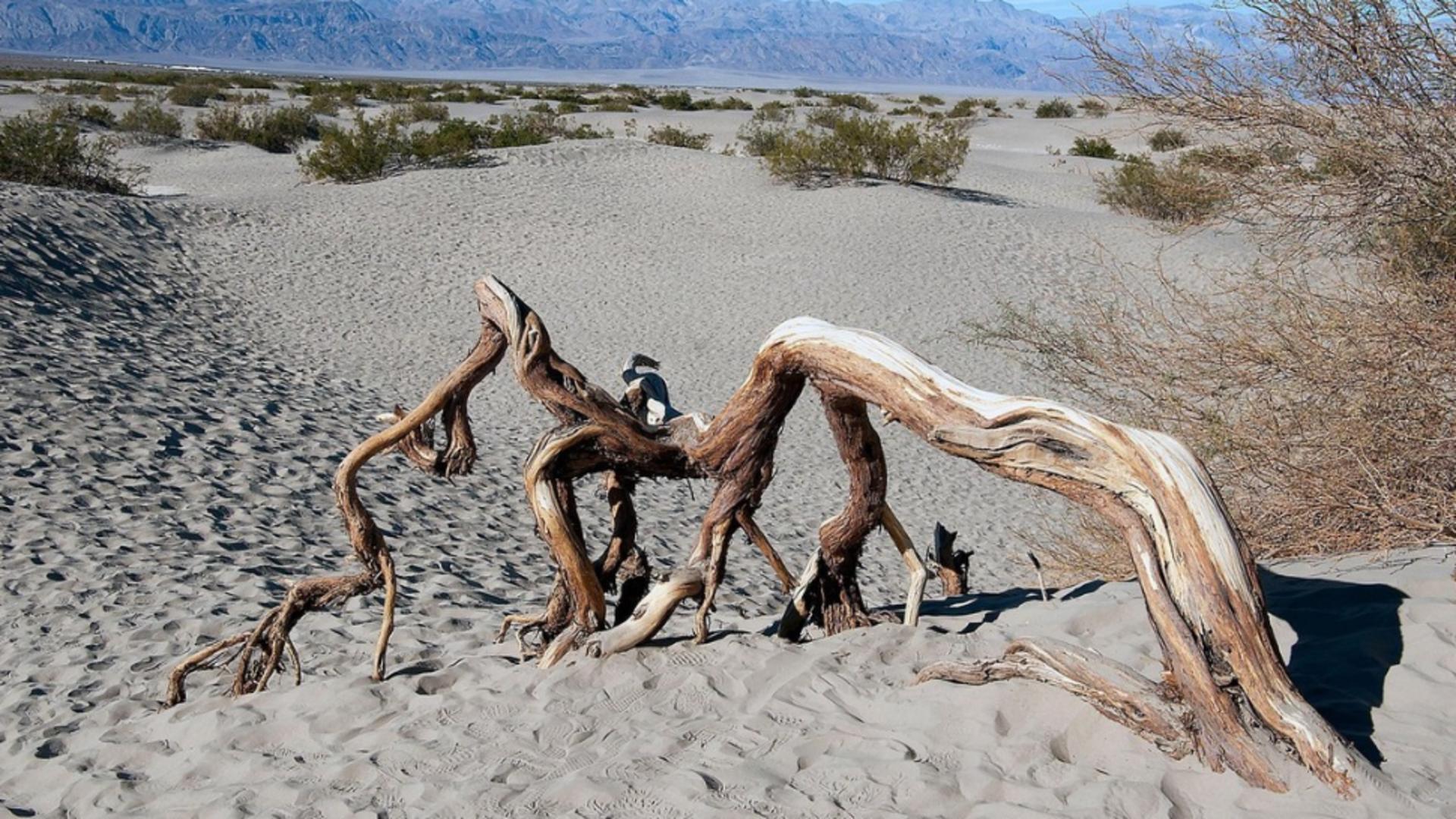 Peisaj din Valea Morții (SUA - Profimedia)