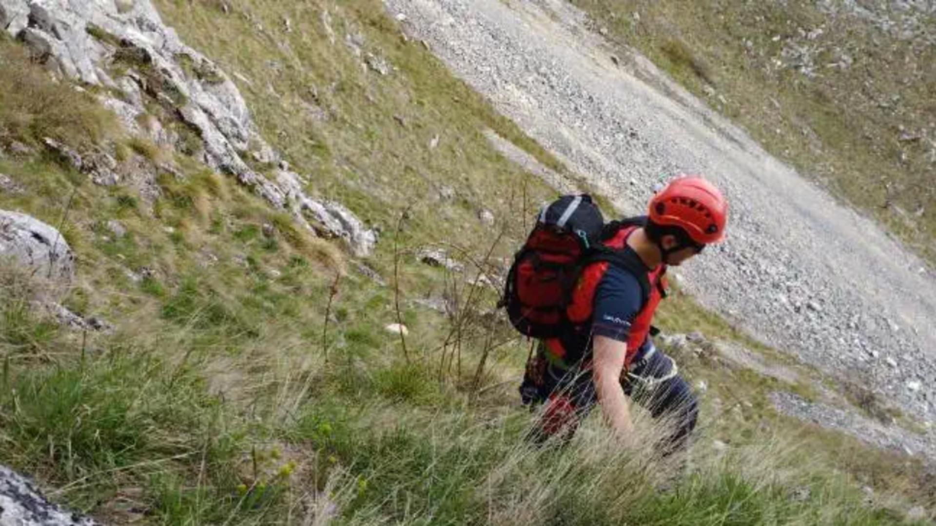 Bărbat rănit grav după ce un copac a căzut peste el. Intervenţia dificilă a salvamontiștilor / Arhivă foto