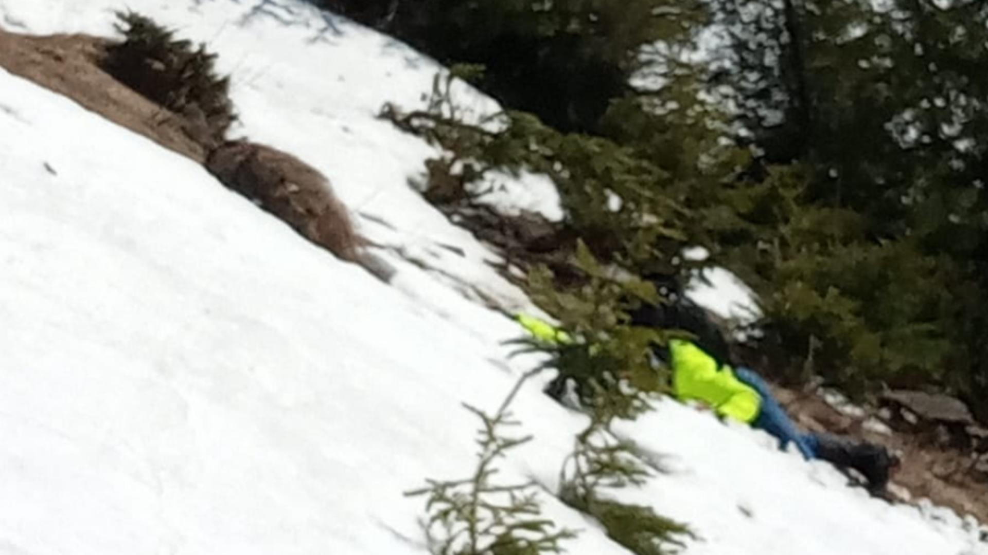 Clipe dramatice în munții Rodnei pentru 2 turiști polonezi: Unul dintre ei a alunecat 30 de metri pe zăpadă - Pericol de avalanșă