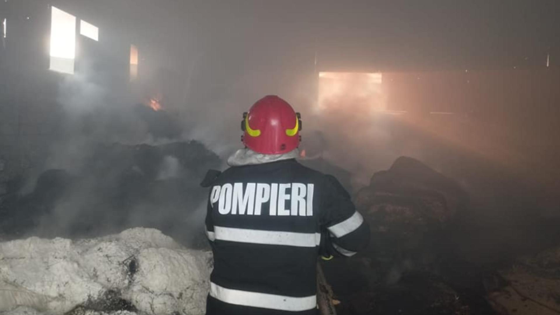 Incendiu puternic în județul Vaslui: O fermă de păsări și furaje, în flăcări - Intervin pompierii - VIDEO