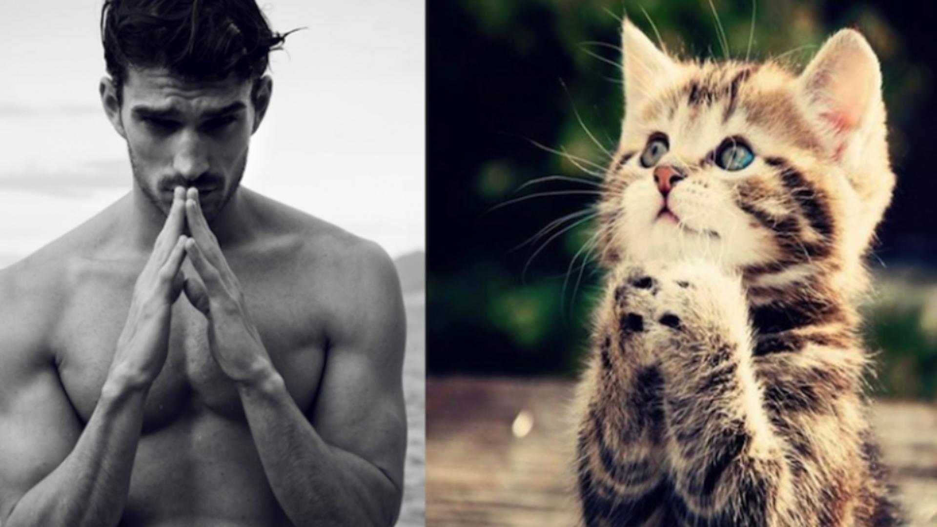 Мужчина киса. Парень с кошкой. Мужчина с котенком. Красивые мужчины с котиками. Красивый парень с котенком.