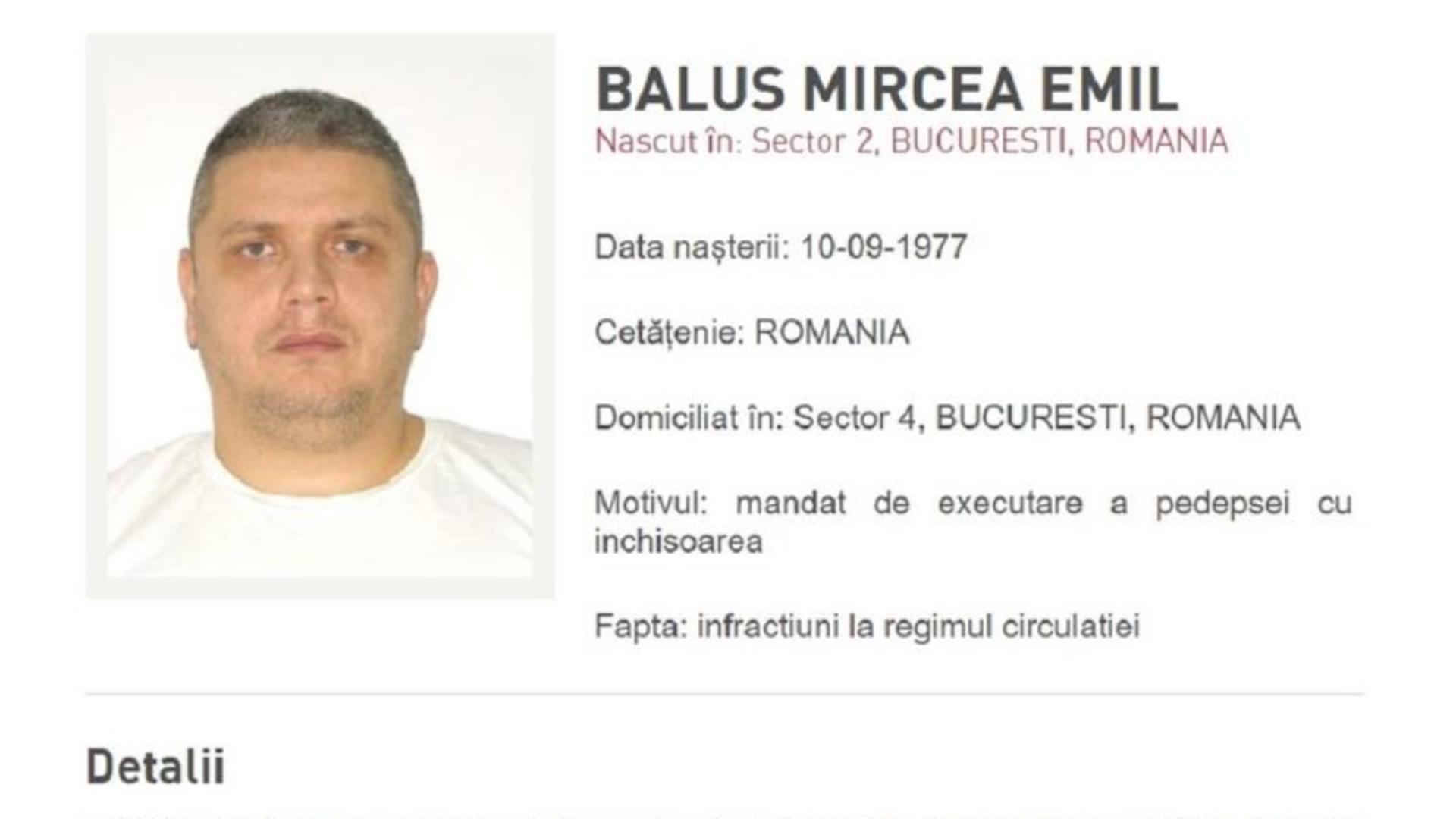 Interlopul Mircea Nebunu, dat în urmărire generală, este naș la o nuntă. Poliția îl caută, el se distrează la evenimente cu fast