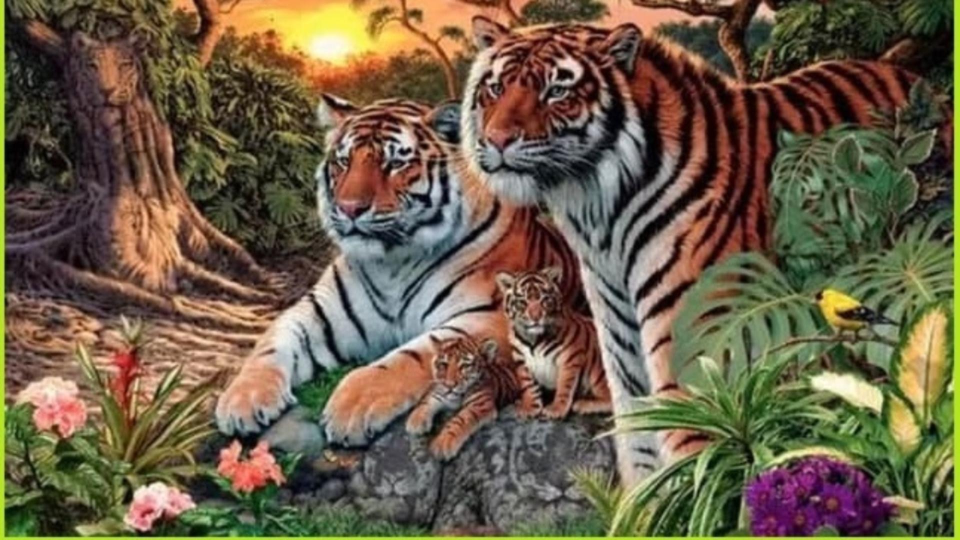 Testul draconic care a pus pe jar internetul! Câți tigri vezi în imagine? Nimeni nu îi poate găsi pe toți