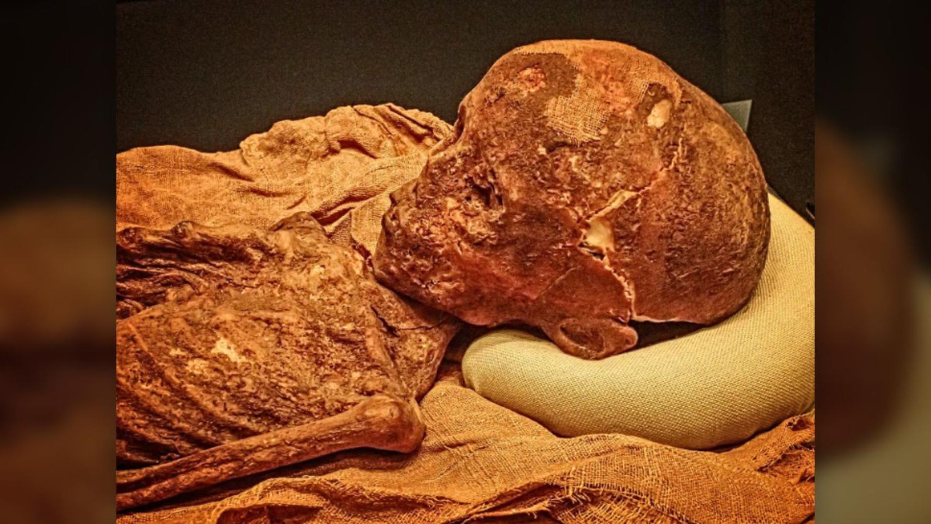 Copil-mumie (foto: Mary Harrsch)