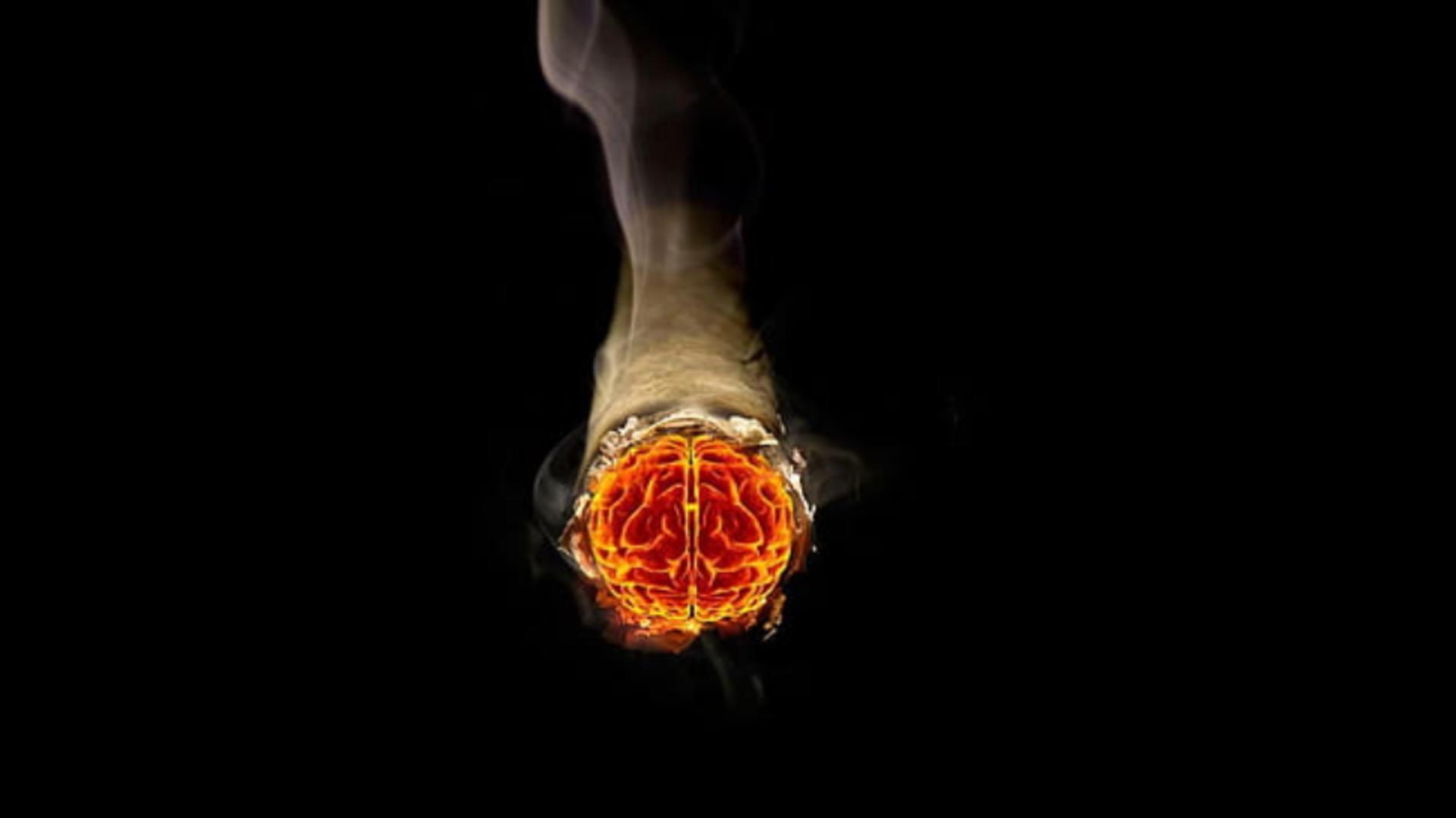 Studiu șocant: Cei care fumează zilnic au creierul mai mic și mai puțină materie cenușie - Șansa fumătorilor de a avea mai multă minte