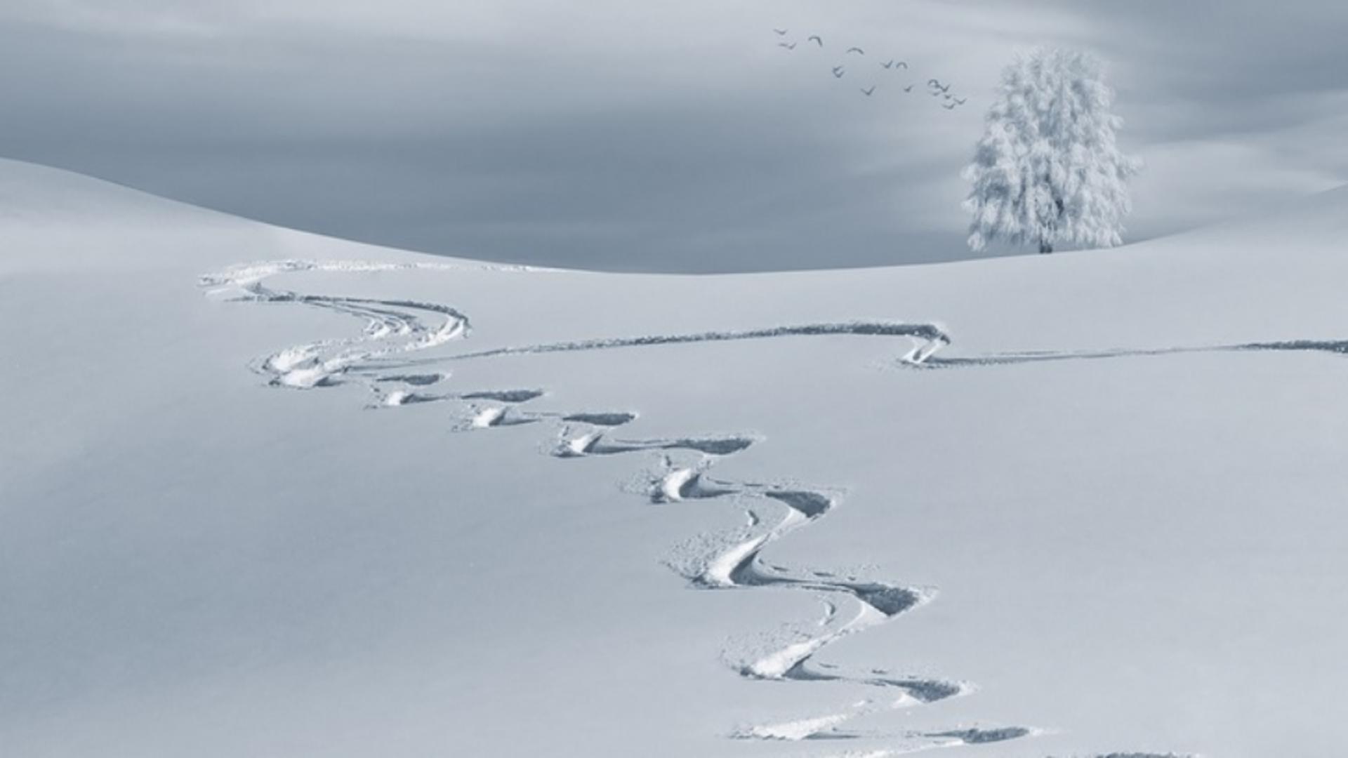 Zăpada - imagine de arhivă