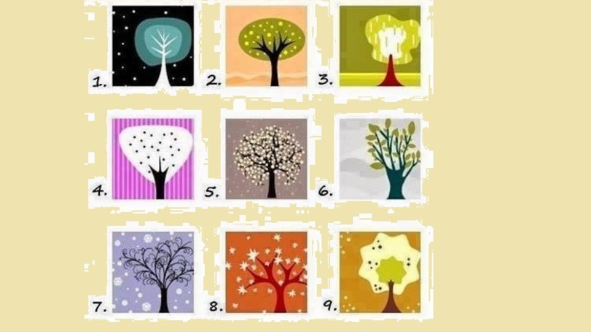 Test de personalitate: Ce copac îți place? Răspunsul spune multe lucruri ascunse despre tine