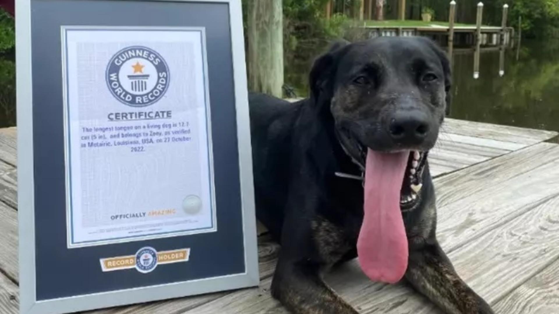Foto: Guinness World of Records
