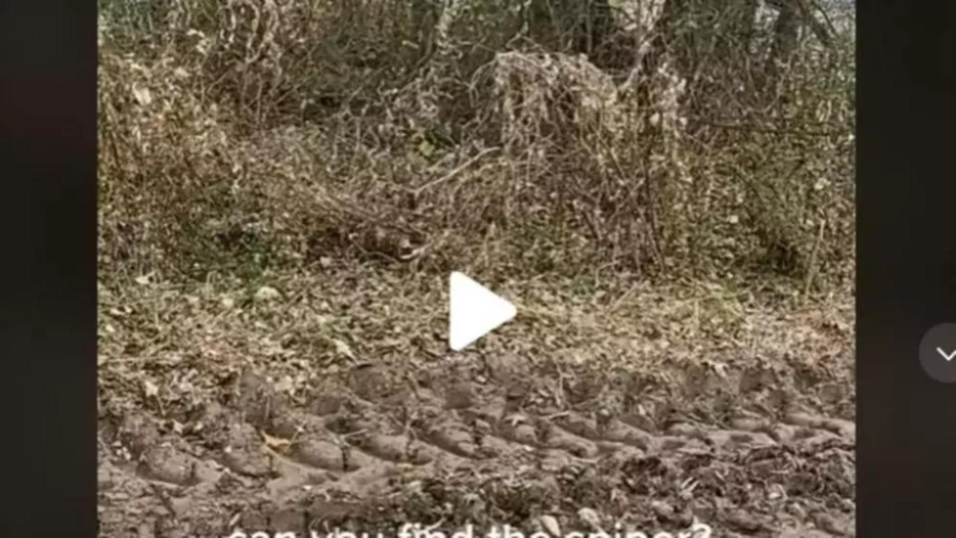 VIDEO – Doar cei antrenați în armată văd soldatul camuflat în aceste imagini – Testul pe care 95% dintre oameni nu-l trec