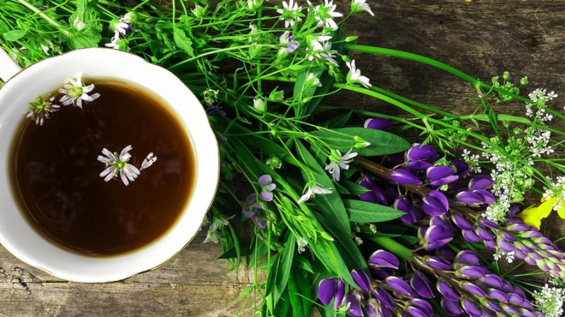 Cel mai sănătos ceai pentru detoxifierea ficatului 
