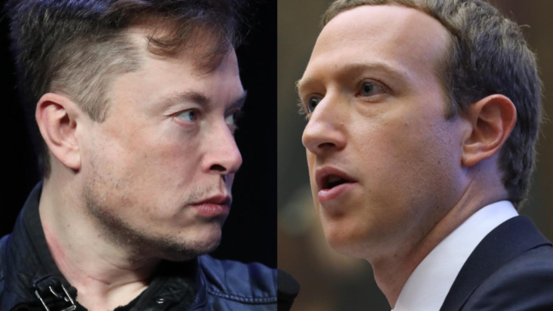  Elon Musk și Mark Zuckerberg se bat în cușcă - Cine a lansat provocarea