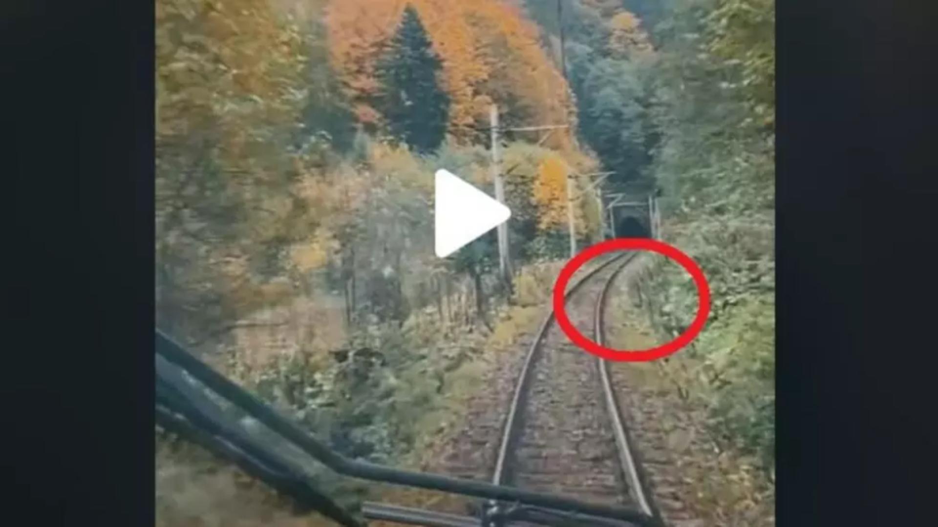 VIDEO – Mecanicul unei locomotive a filmat drumul de pe Valea Prahovei. Brusc i-a apărut ceva în cale – Clipul a devenit viral