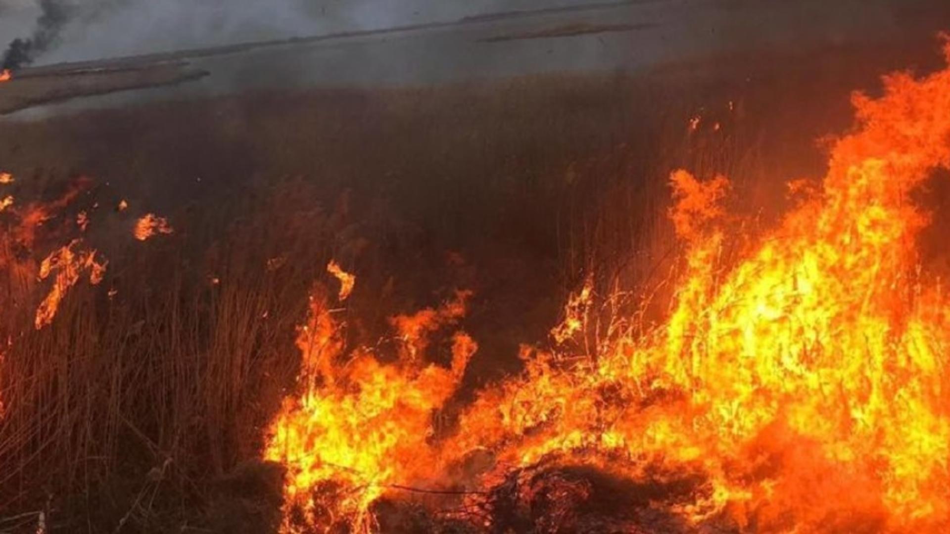 Incendiu puternic în Parcul IOR din Capitală, în zona retrocedată - Intervenția urgentă a pompierilor