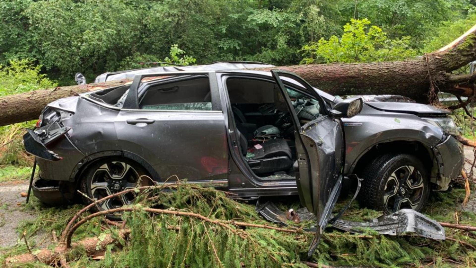 Furtună violentă pe Transalpina. O femeie a murit, după ce un copac a căzut peste mașină. 14 autoturisme, blocate pe DN 67C – FOTO