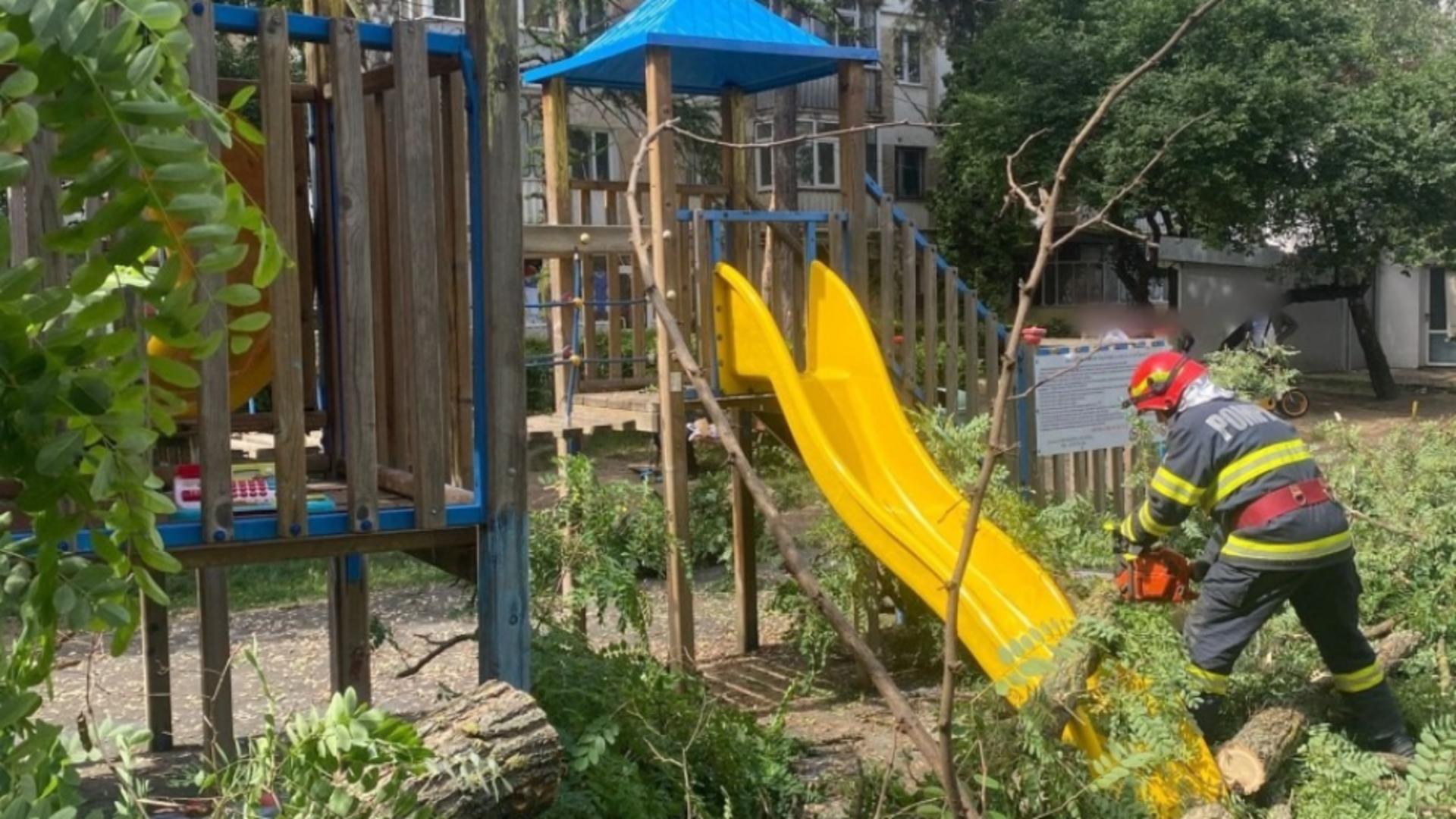 Un arbore imens a căzut peste un copil ce se afla într-un loc de joacă din Suceava – Care este starea micuțului
