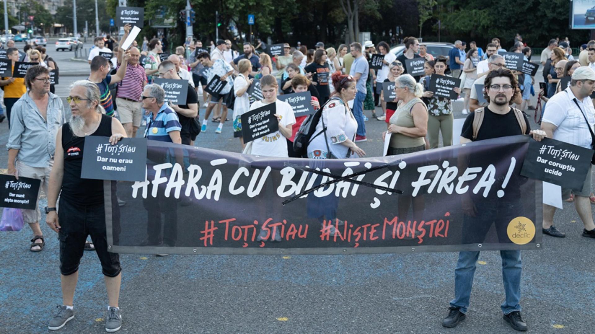 Peste 200 de persoane protestează în Piața Victoriei: „După demisii e nevoie de soluții” FOTO