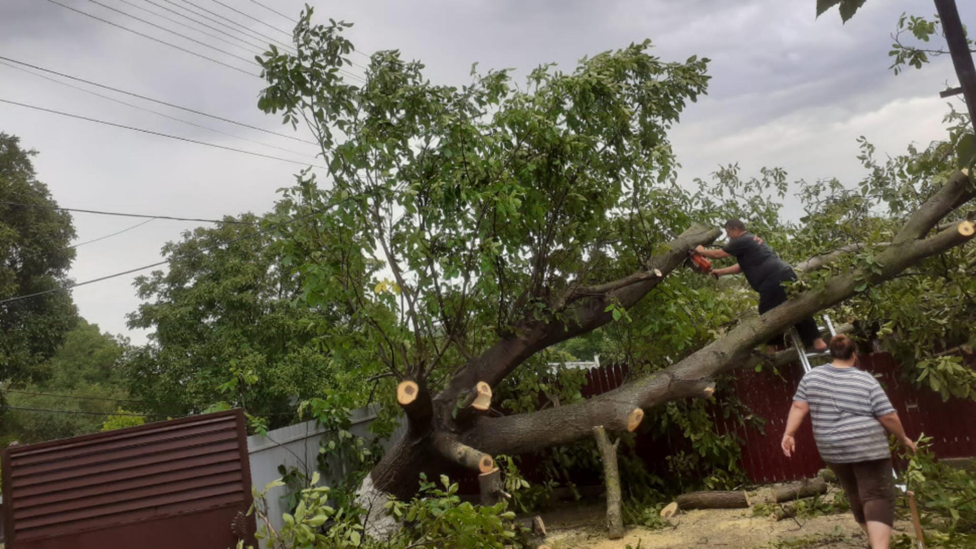 Furtună, la Cluj: copaci căzuți și acoperiș luat de vânt – Pagube însemnate și în Bihor