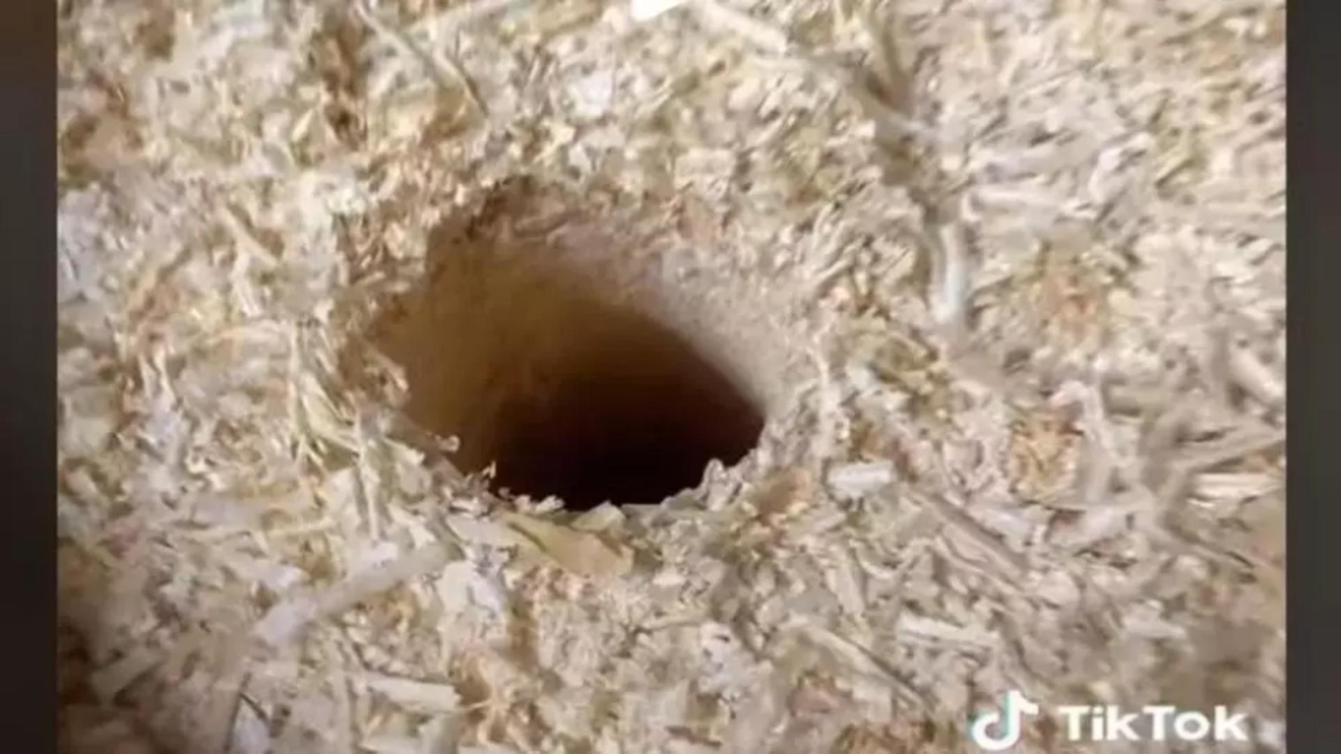 VIDEO – Experimentul inedit al unui român – A făcut o gaură în mijlocului unui butoi plin de rumeguș – La ce folosește