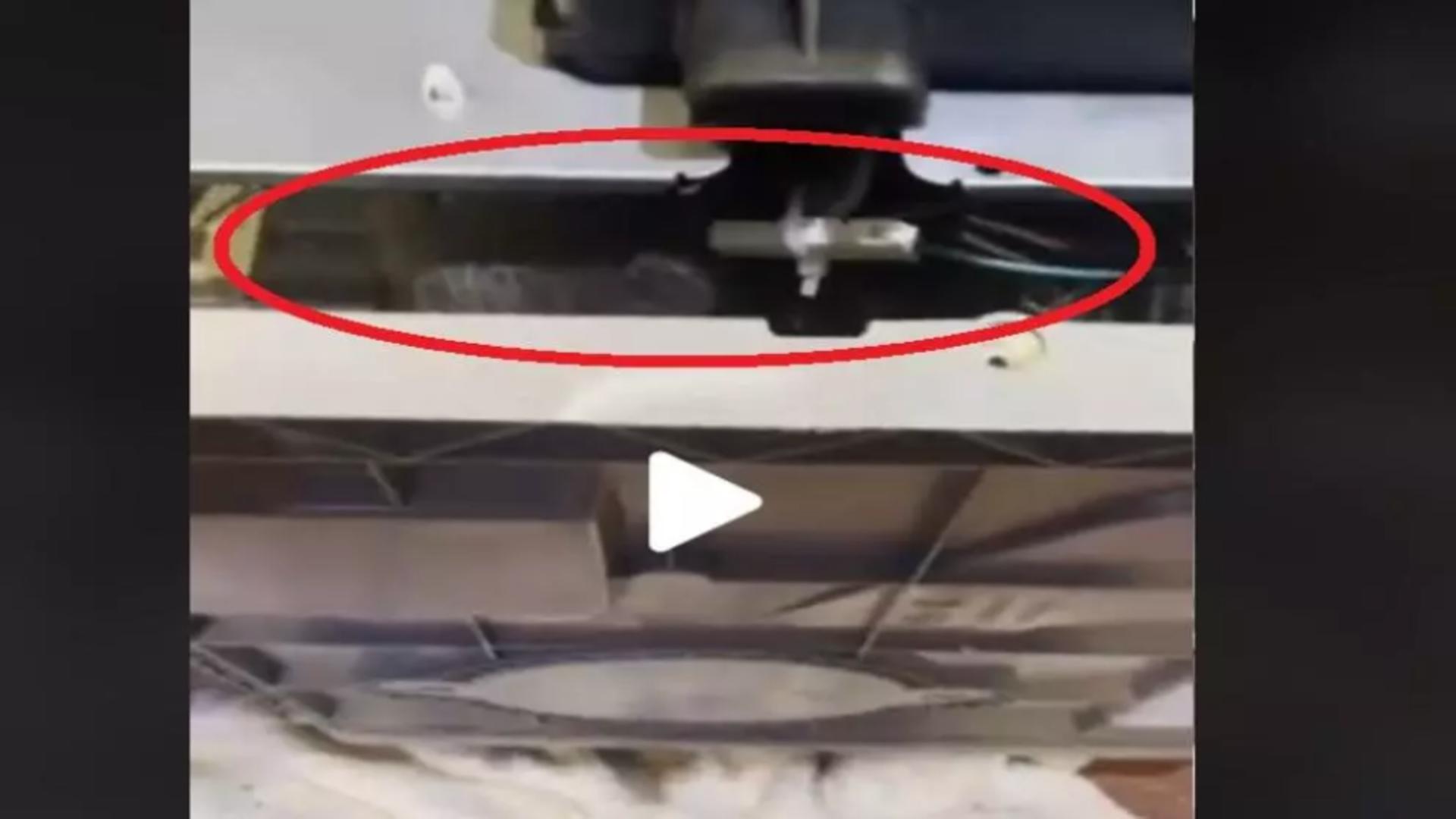 VIDEO – A desfăcut mașina de spălat pentru că nu mai funcționa – Când a văzut ce e înăuntru, a început să țipe