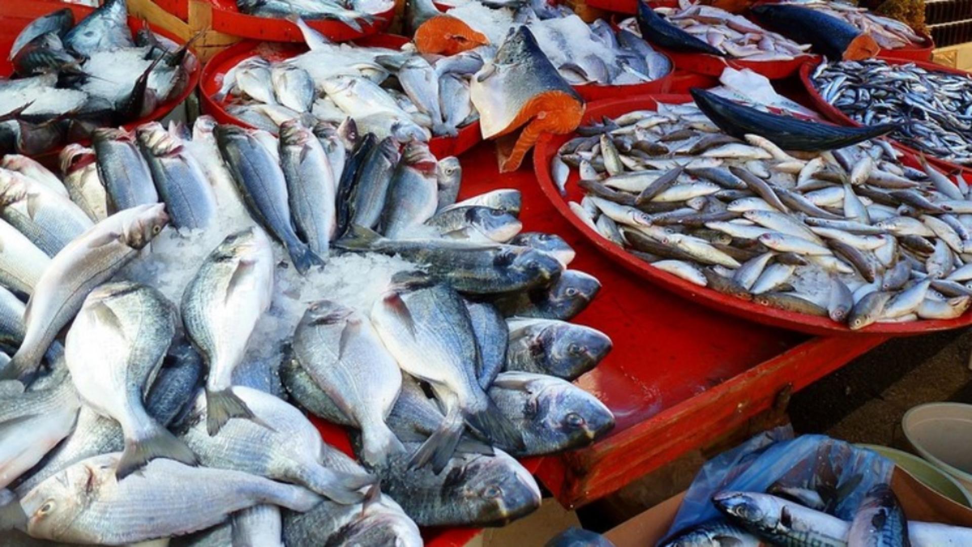 Cel mai toxic pește vândut în România. Conține niveluri crescute de mercur