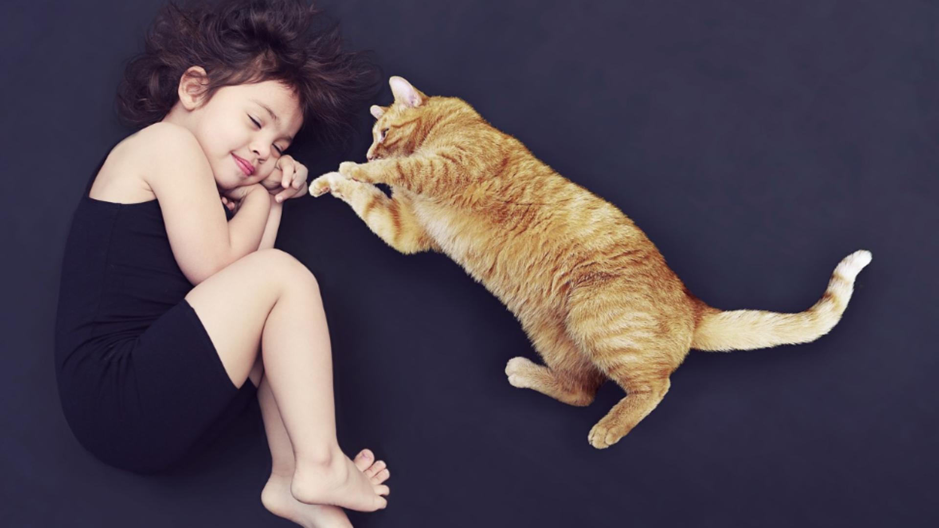 Împărțitul patului cu pisica ne expune mai multor riscuri