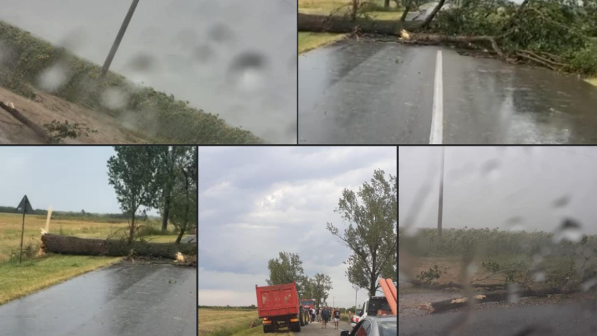 Furtună violentă cod roșu în județul Arad. IMAGINI DE COȘMAR la Ineu –  Acoperișuri smulse, copaci rupți- VIDEO
