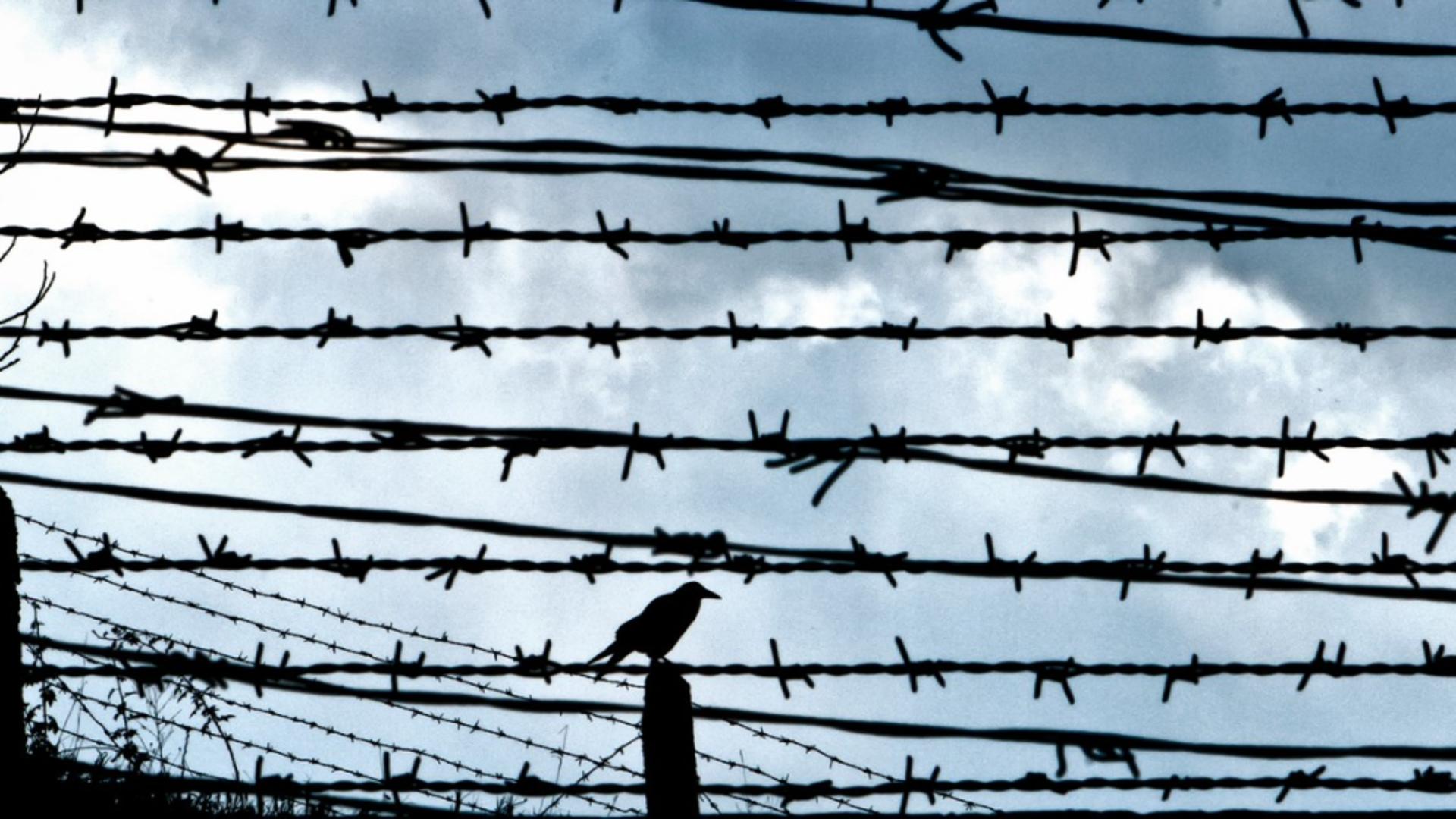 Scrisoarea de la care a pornit scandalul din penitenciar: Remus Truică și-a amenajat un paradis în închisoare