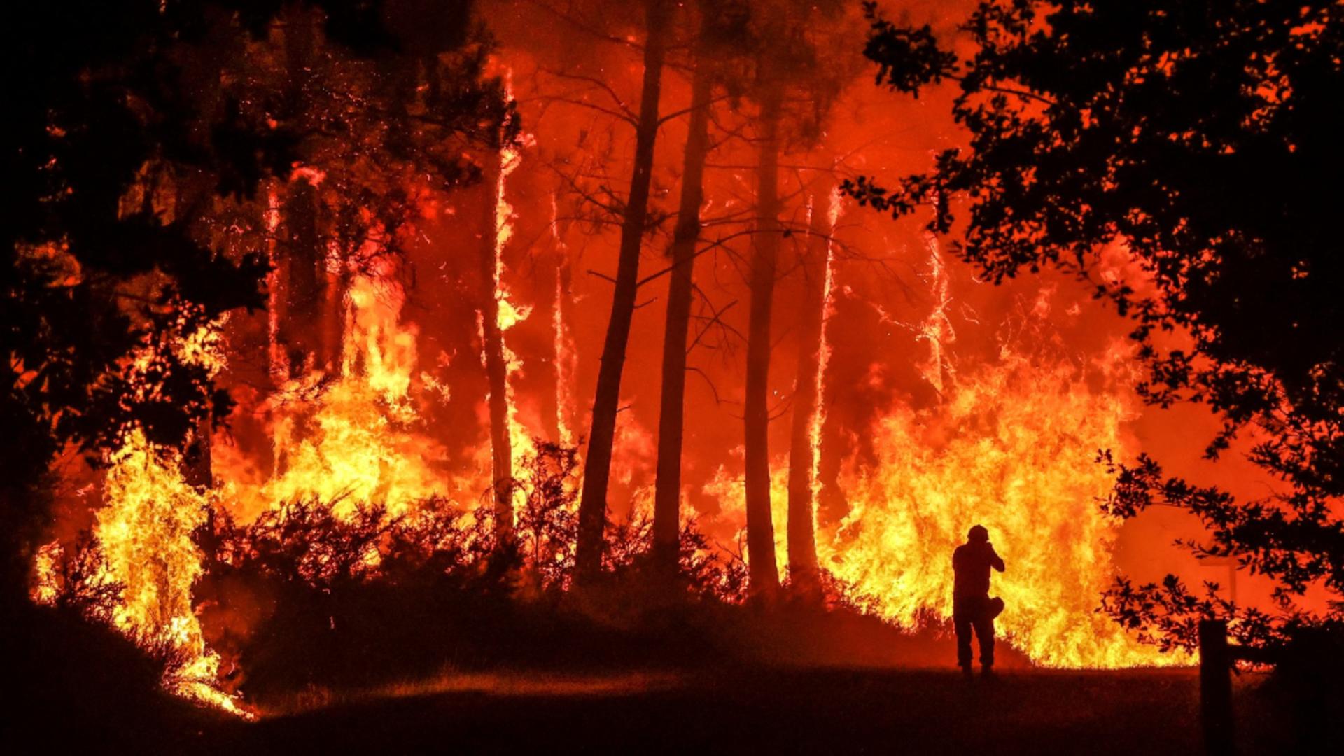  De ce au izbucnit, de fapt, incendiile din Grecia / Foto: Profi Media