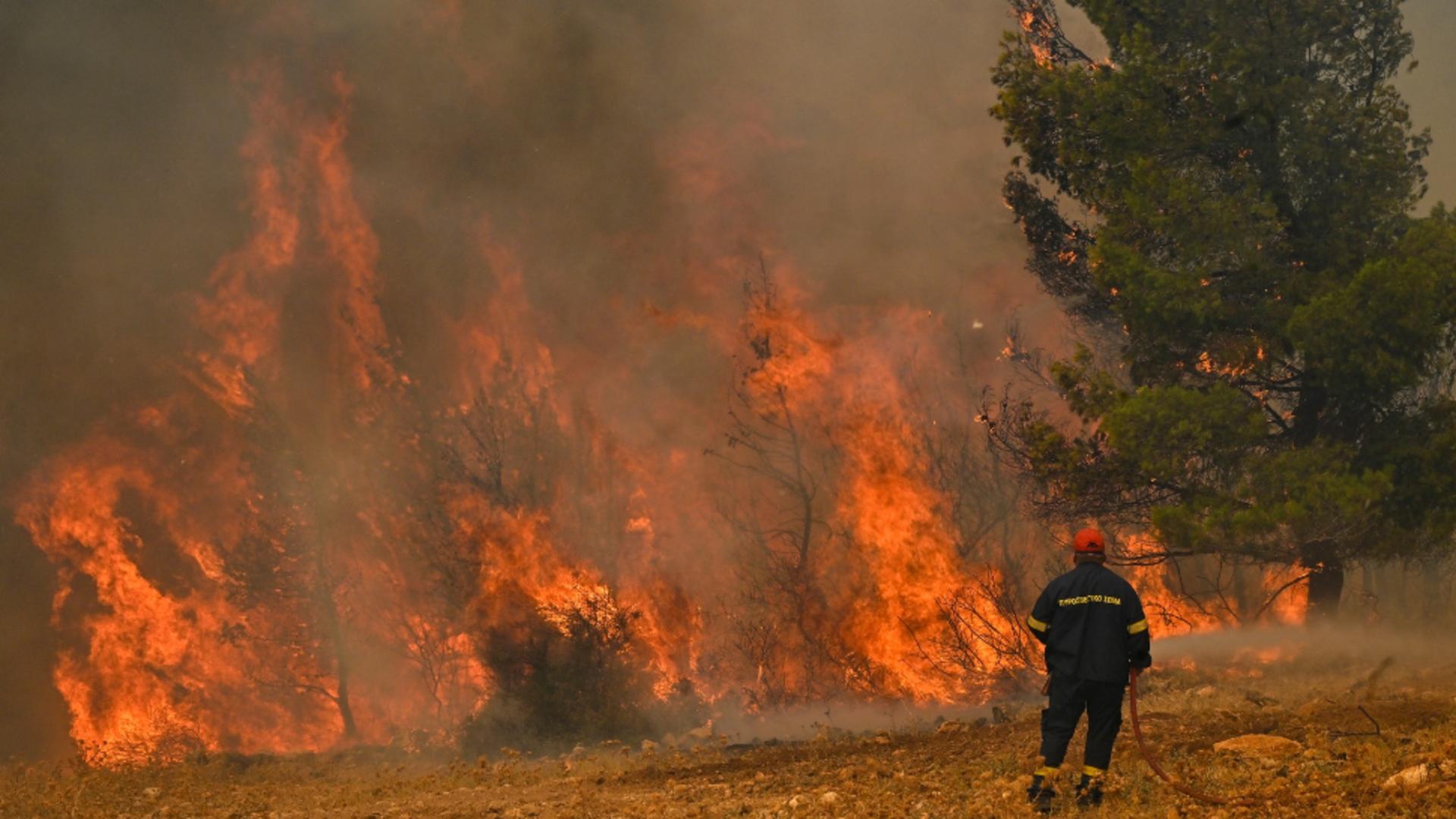 Incendiile din Grecia au stricat vacanțelor multor români/ Foto: Profi Media
