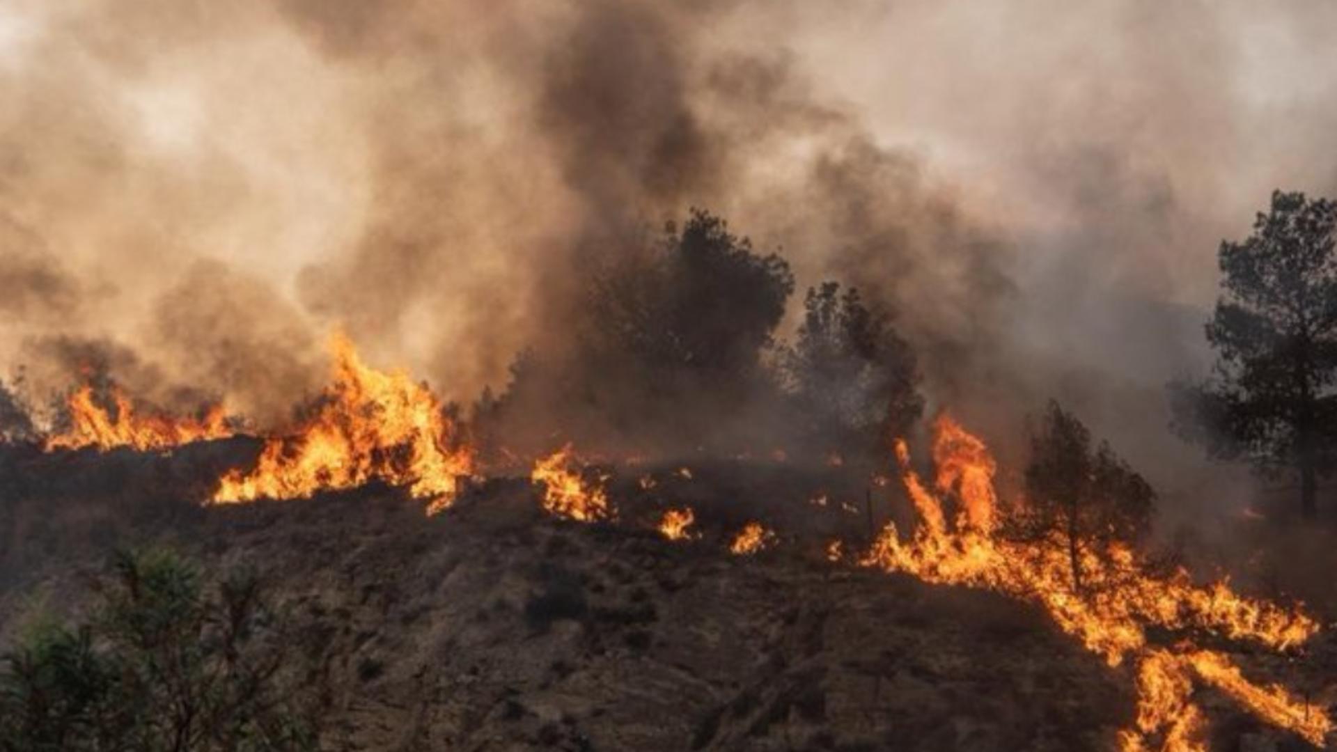 MAE, alertă de călătorie pentru români: RISC uriaș de incendii în Portugalia până pe 4 august