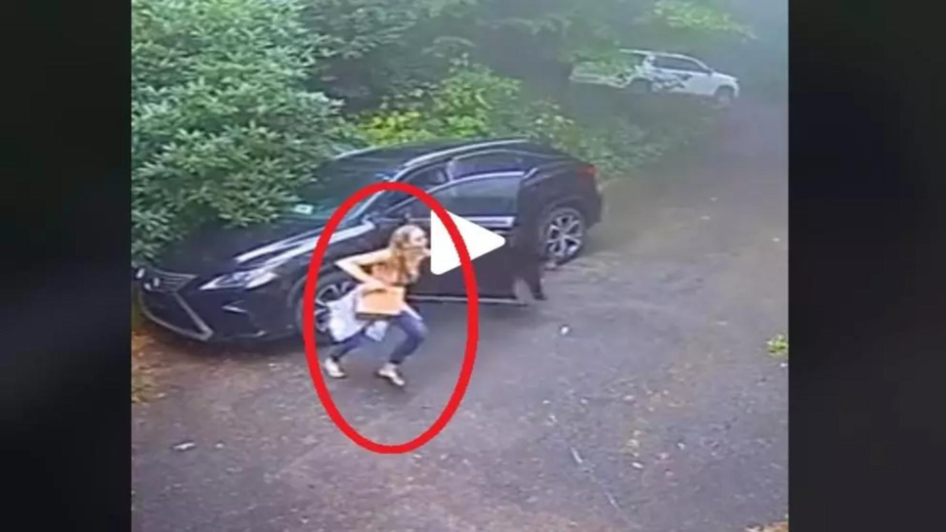 VIDEO – A cules câteva mere și a vrut să intre înapoi în mașină – Când a văzut ce era înăuntru, a luat-o la fugă țipând