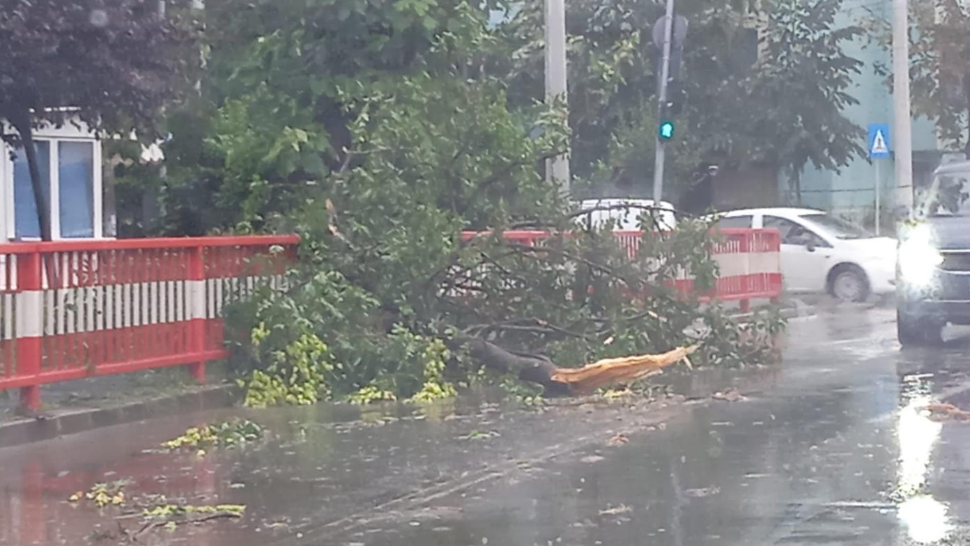 PRĂPĂD la Brăila după furtuni și vijelii cu grindină: Copaci rupți de vânt și străzi inundate - Mesaj RO-ALERT | Video