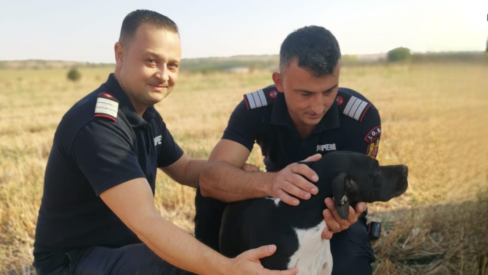 Căţeluşă salvată de pompieri dintr-o fântână adâncă, după 12 ore de captivitate, la Giurgiu – Povestea emoționantă