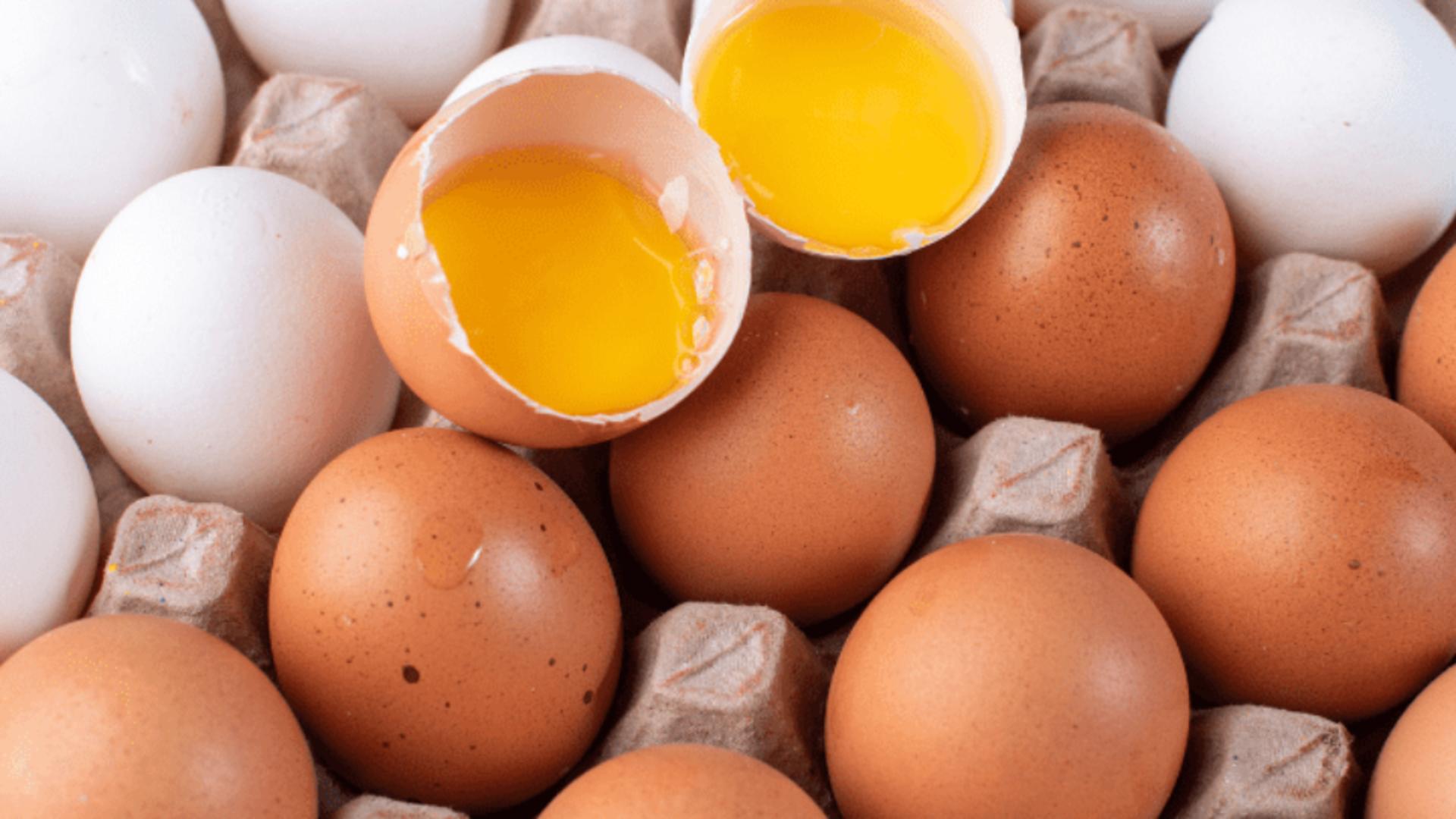 Cum recunoști ouăle de calitate – Ce înseamnă codurile și ce teste trebuie să faci: Coaja și culoarea gălbenușului