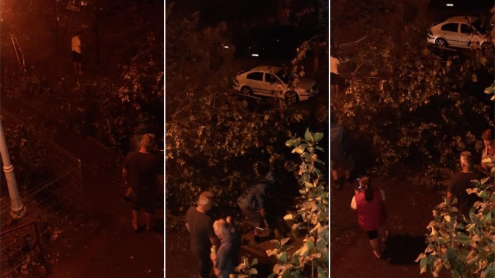 URGIE în Galați: 40 de copaci, stâlpi de tensiune, rupţi de furtună, acoperișuri smulse - două persoane salvate dintr-o barcă pe Dunăre | VIDEO