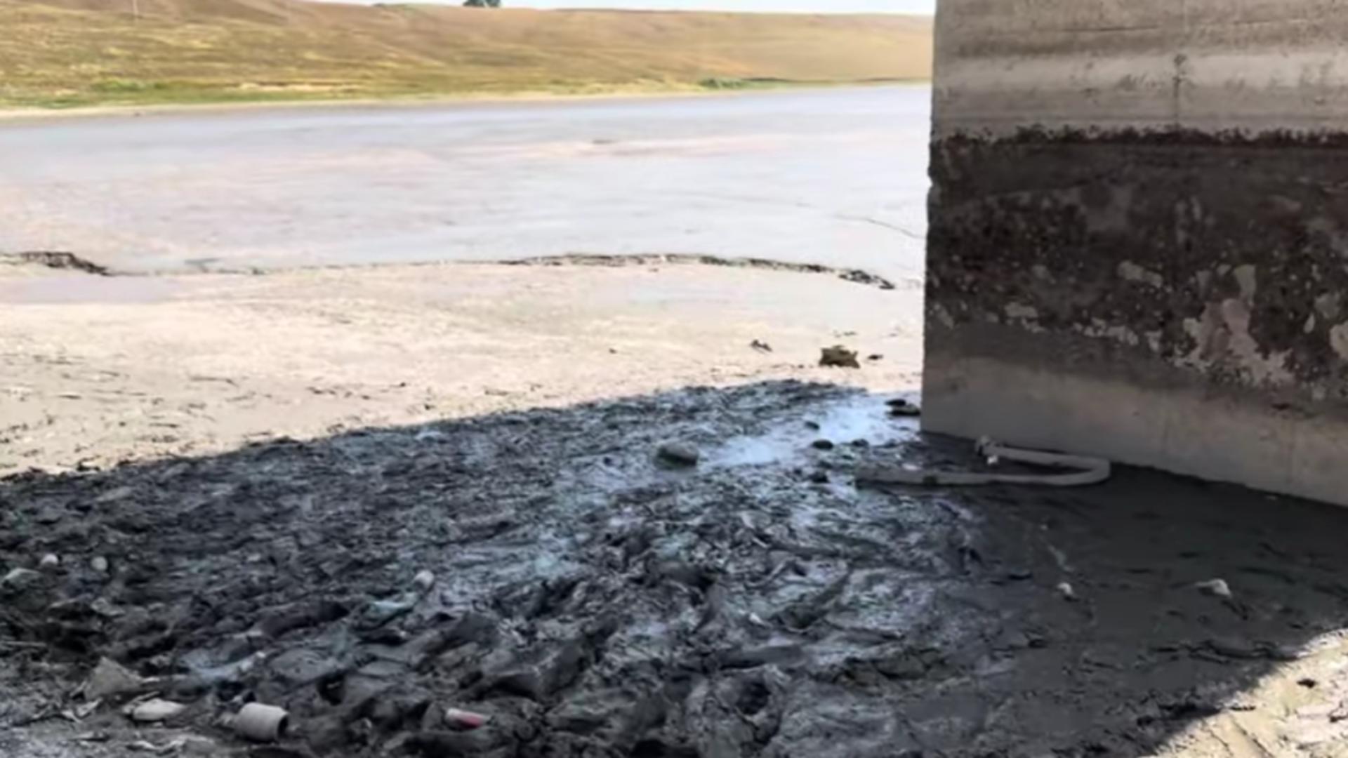 Dezastru ecologic în județul Suceava – Un iaz a secat  din cauza caniculei. Localnicii sunt exasperați din cauza mirosului de pește putrezit