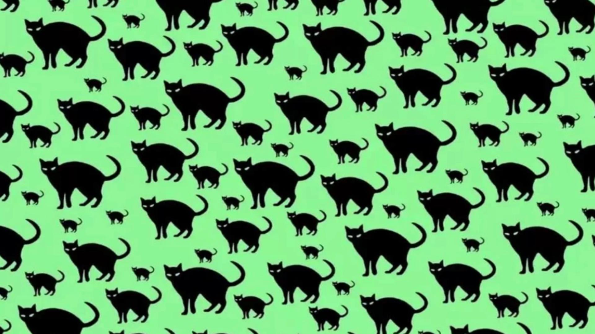 Cea mai enervantă iluzie optică: găsește șoarecele în 8 secunde! 