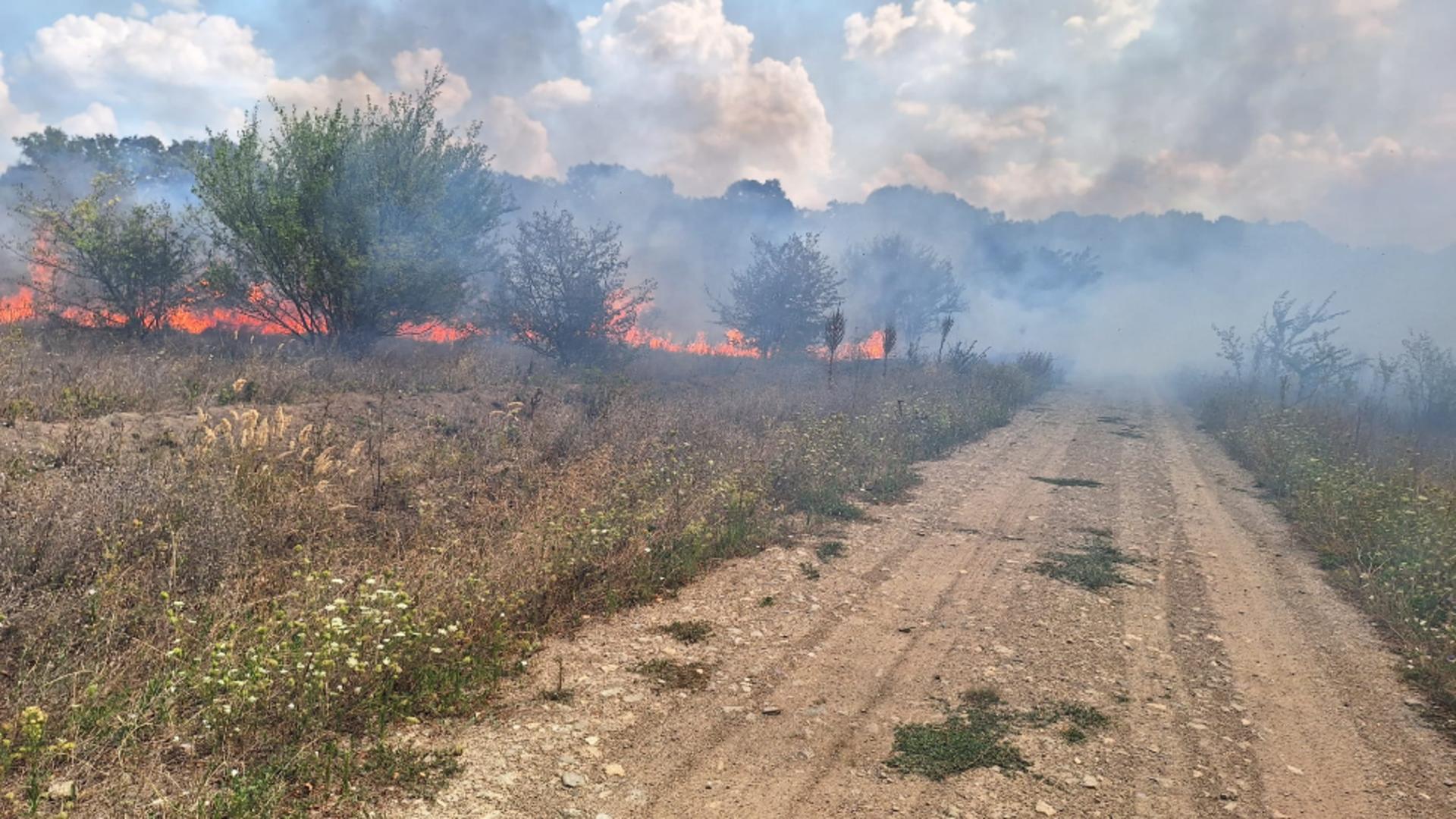 Focul de vegetație s-a propagat rapid din cauza vegetației uscate (ISU București-Ilfov)