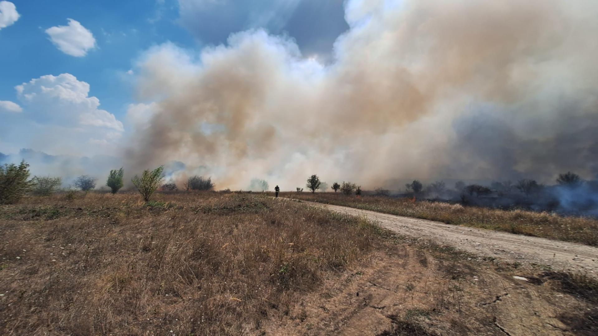 Focul de vegetație s-a propagat rapid din cauza vegetației uscate (ISU București-Ilfov)