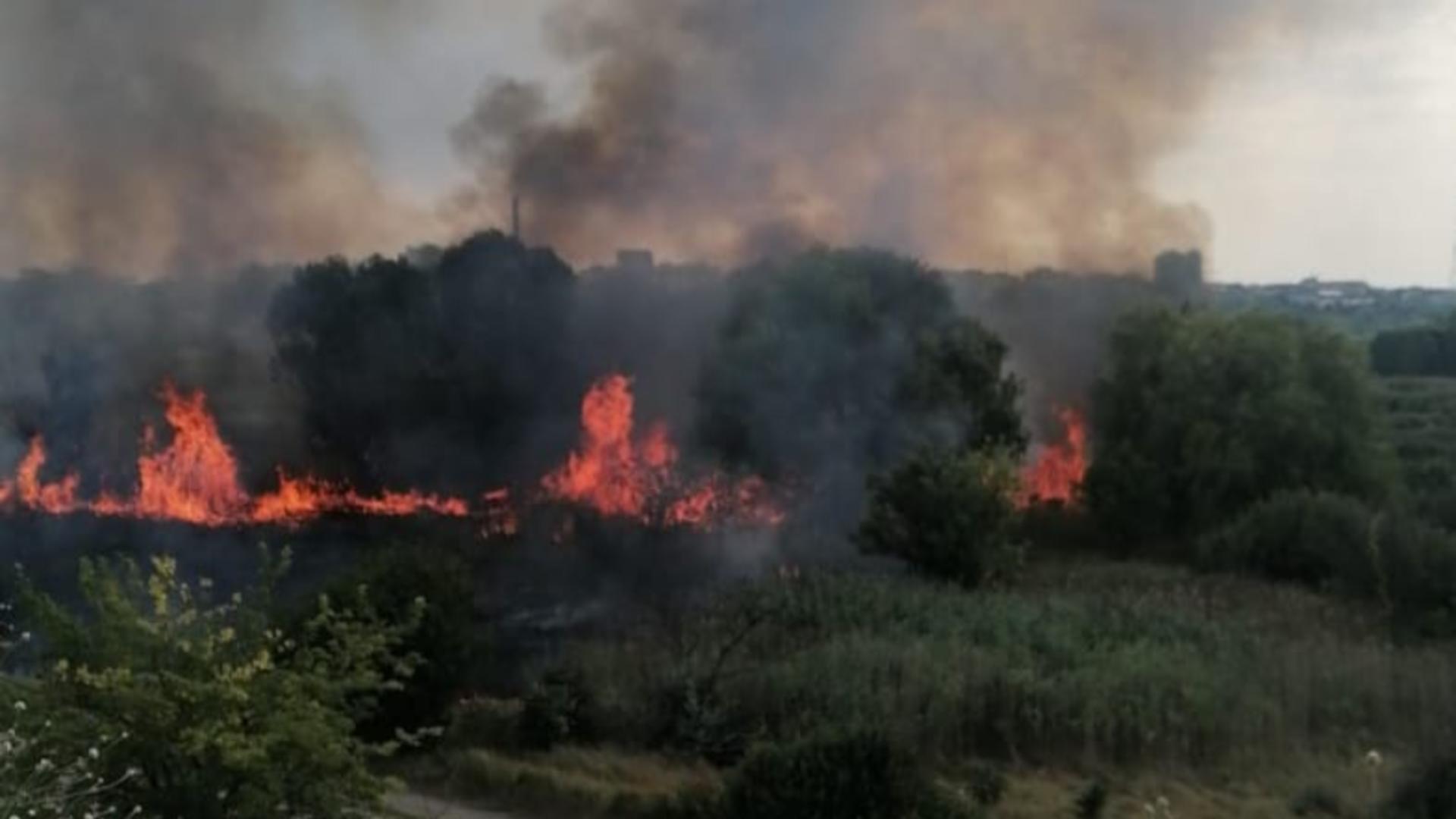 Flăcările s-au extins rapid din cauza căldurii (foto: sectorul4news)