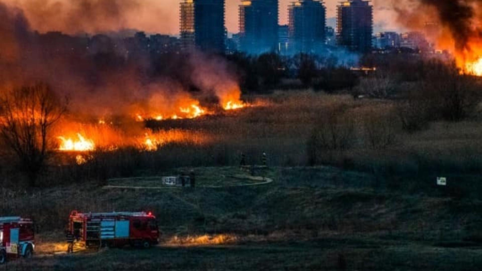 Incendia a afectat o surpafață considerabilă (foto: Ioana Popescu)