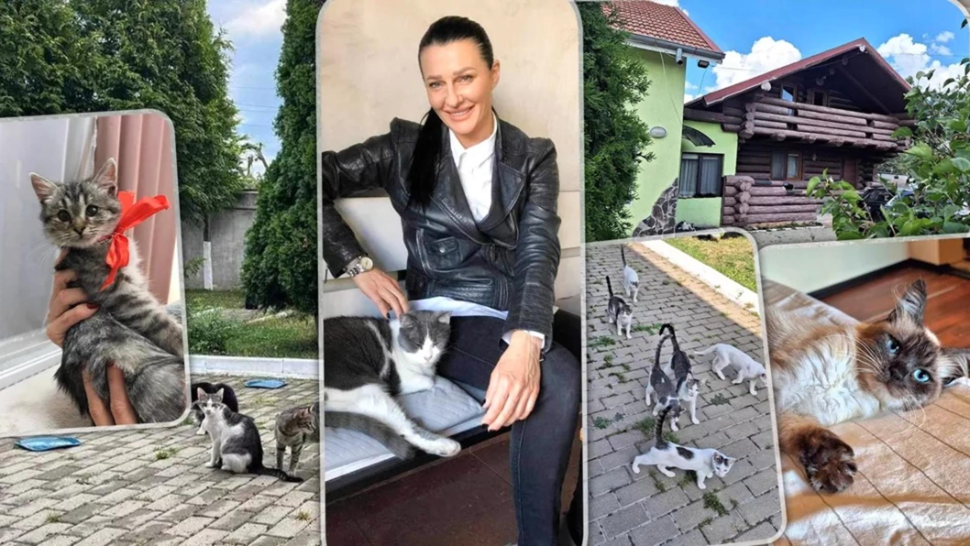 Simona Spaiuc, o ieșeancă în vârstă de 40 de ani, are în grijă 34 de pisici. Foto: Buna Ziua  Iasi