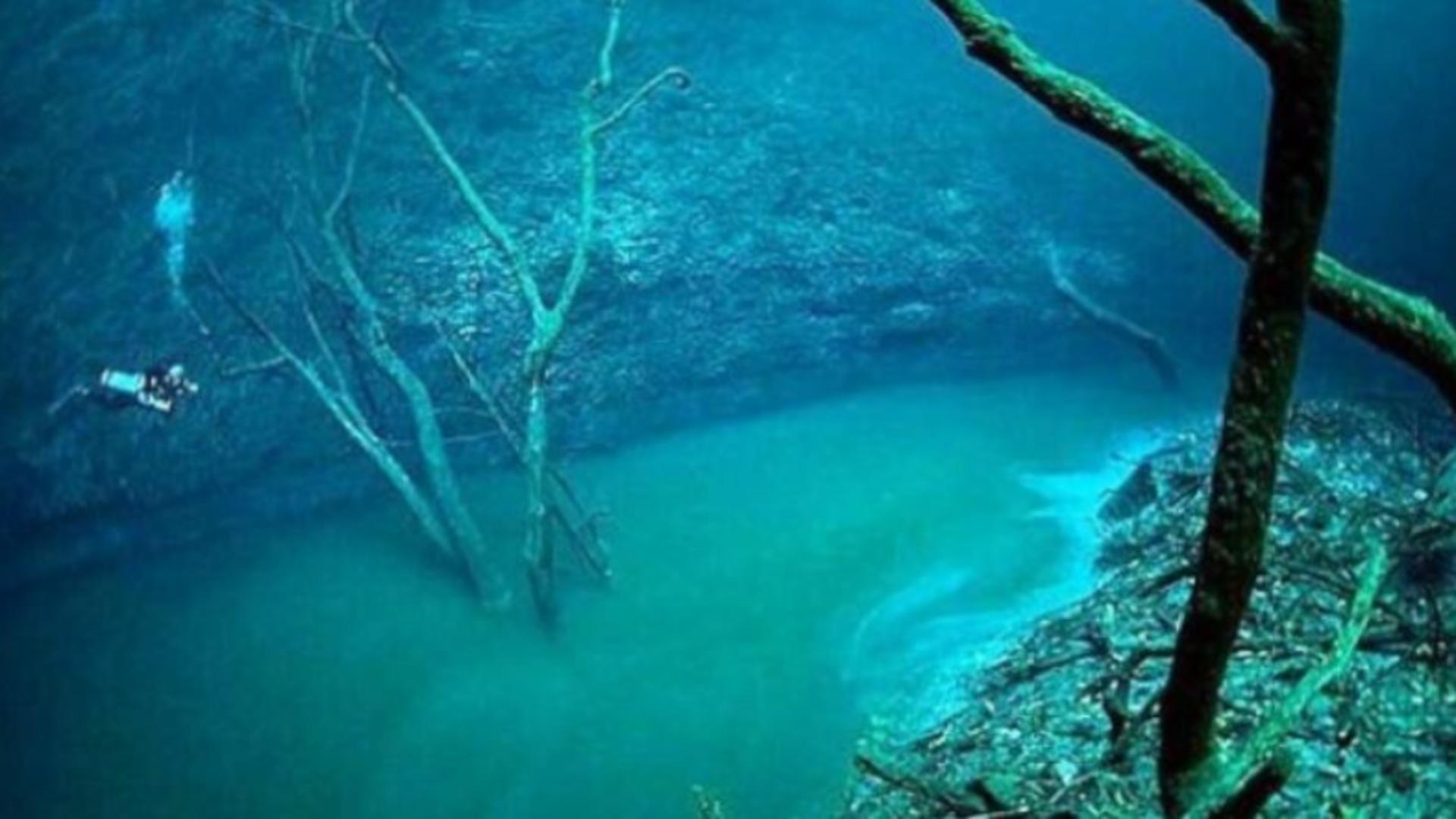 Pe fundul Mării Negre a fost găsit un râu imens care dacă s-ar găsi pe uscat ar fi al 6-lea cel mai mare din lume – Descoperirea care i-a uluit pe cercetători